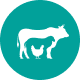 Livestock